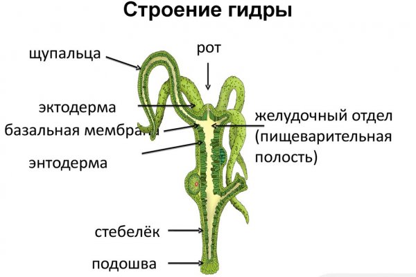 Кракен купить порошок маркетплейс