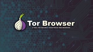 Kraken зеркала kr2web in